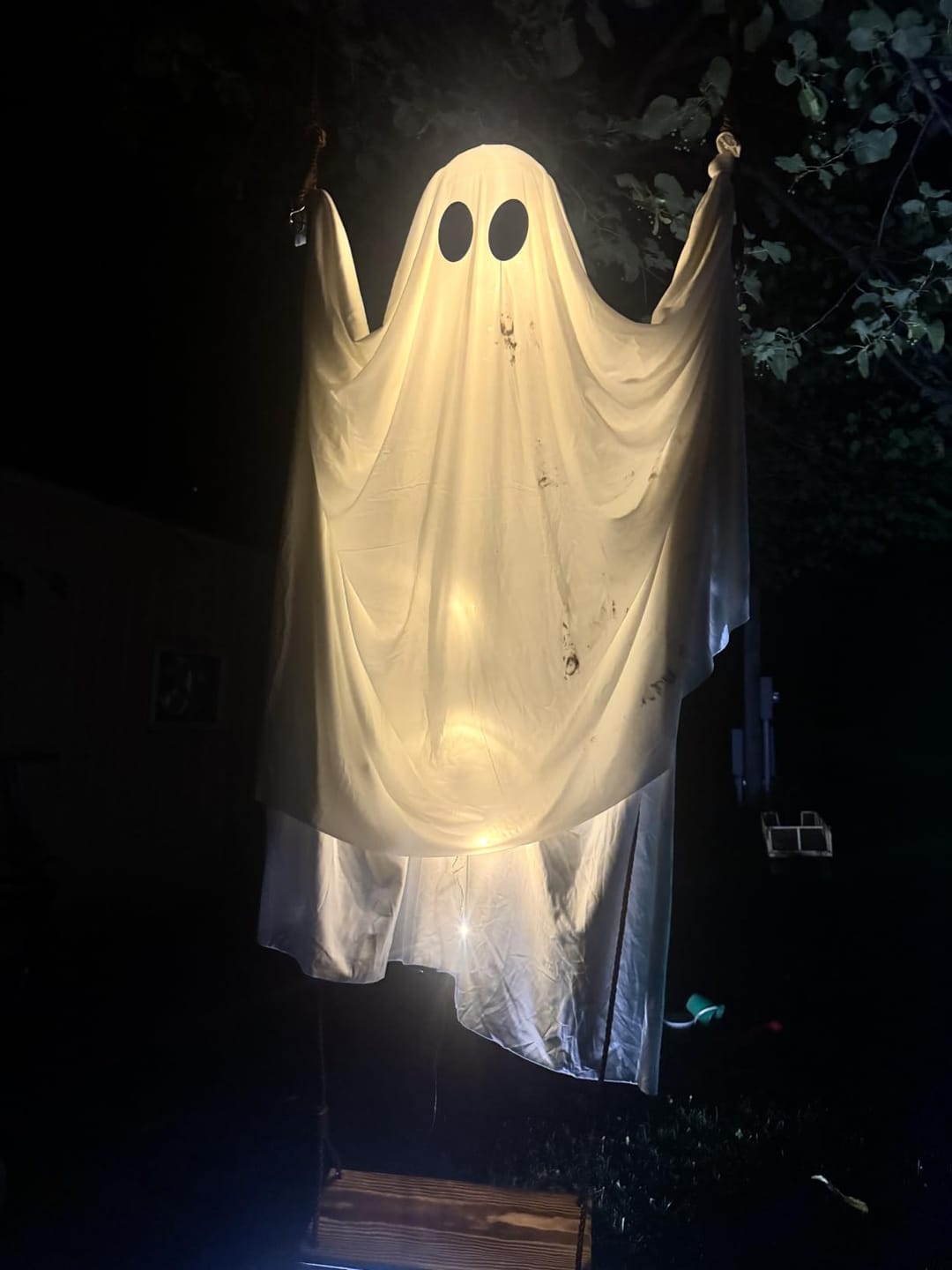 Customer photo review of ROXEIN™ GlowSwing Ghost