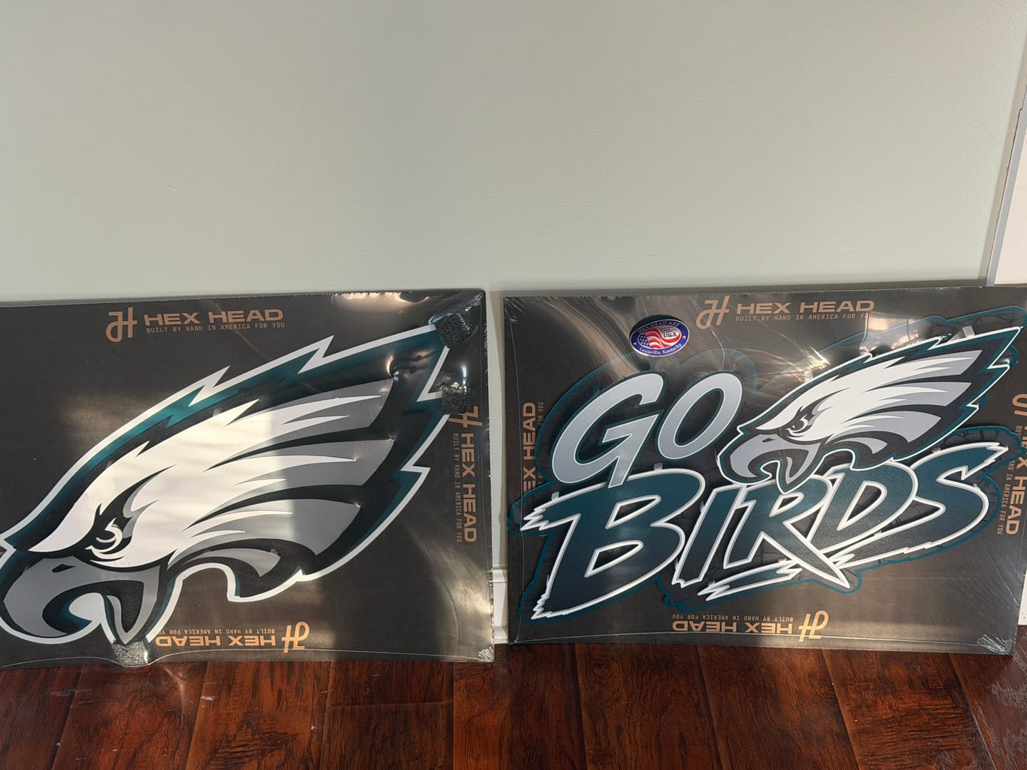 Customer photo review of Philadelphia Eagles Mascot 3D Vintage Metal Wall Art