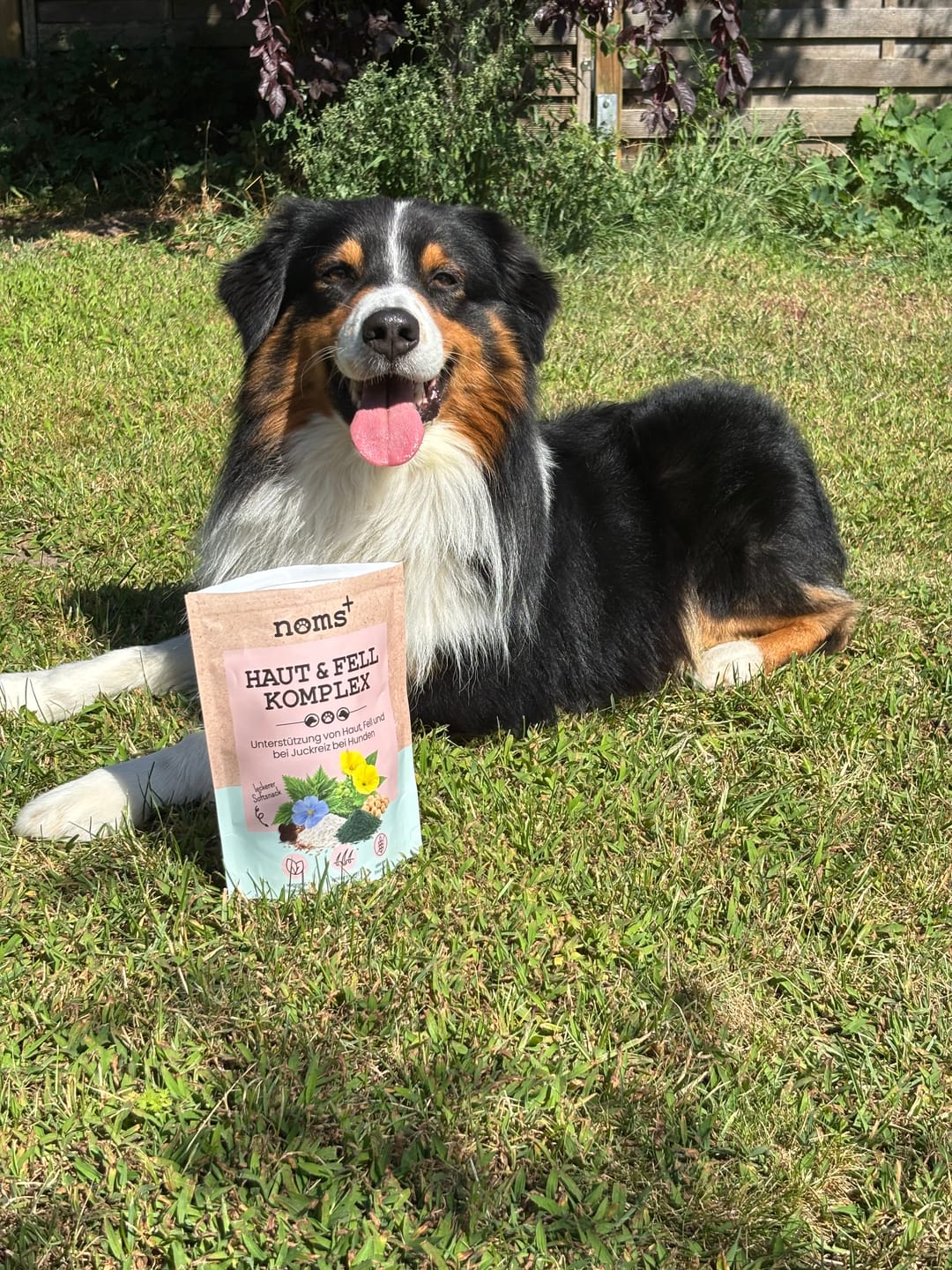 Customer photo review of Haut & Fell Komplex für Hunde