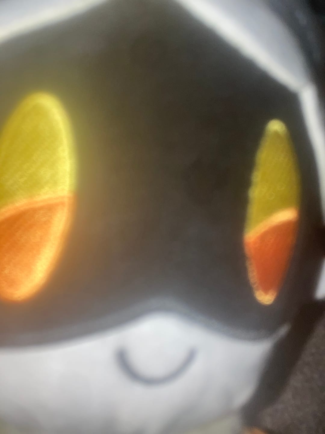 Customer photo review of N Plush