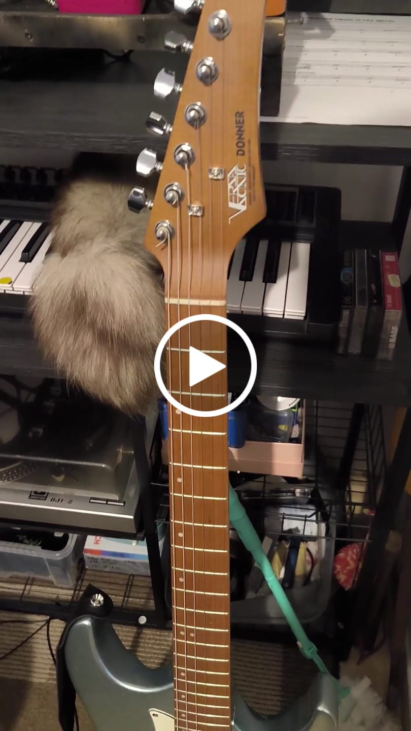 Customer video review of Donner DST-550 E-Gitarre
