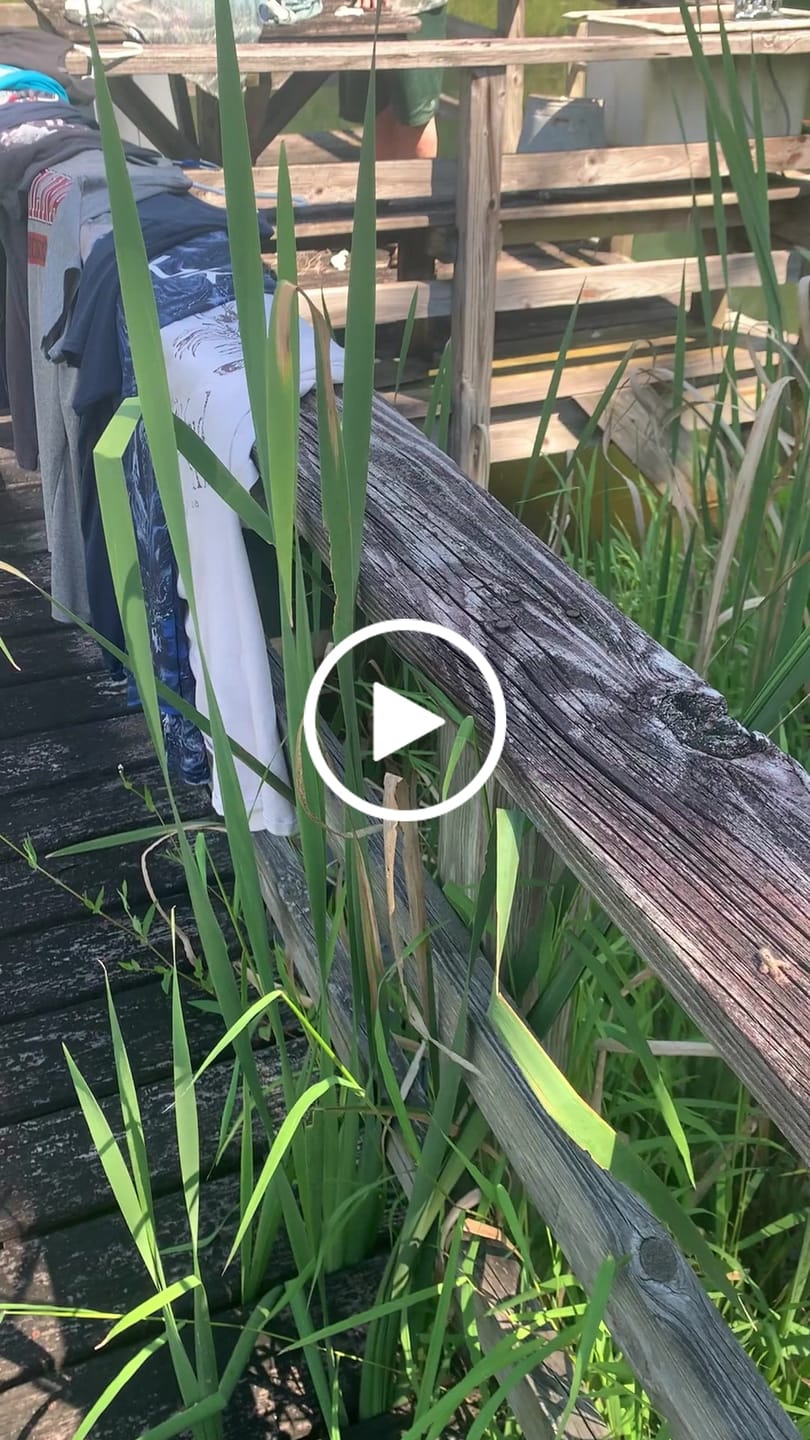 Customer video review of Performance Fishing Long Sleeve - Clear Flats Redfish Hunt - RRF02