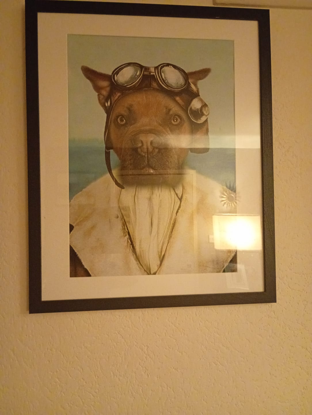 Customer photo review of The Aviator - Custom Pet Portrait