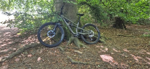 Customer's gray mountain bike with an Occult mudguard attached, parked against a tree in a forest.