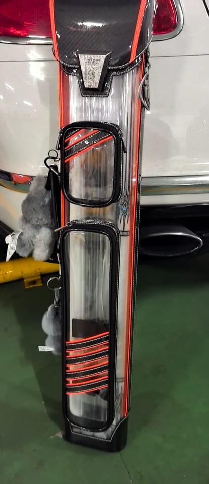 Customer photo review of Lizard Interpretation Series Cue Case 2B4S
