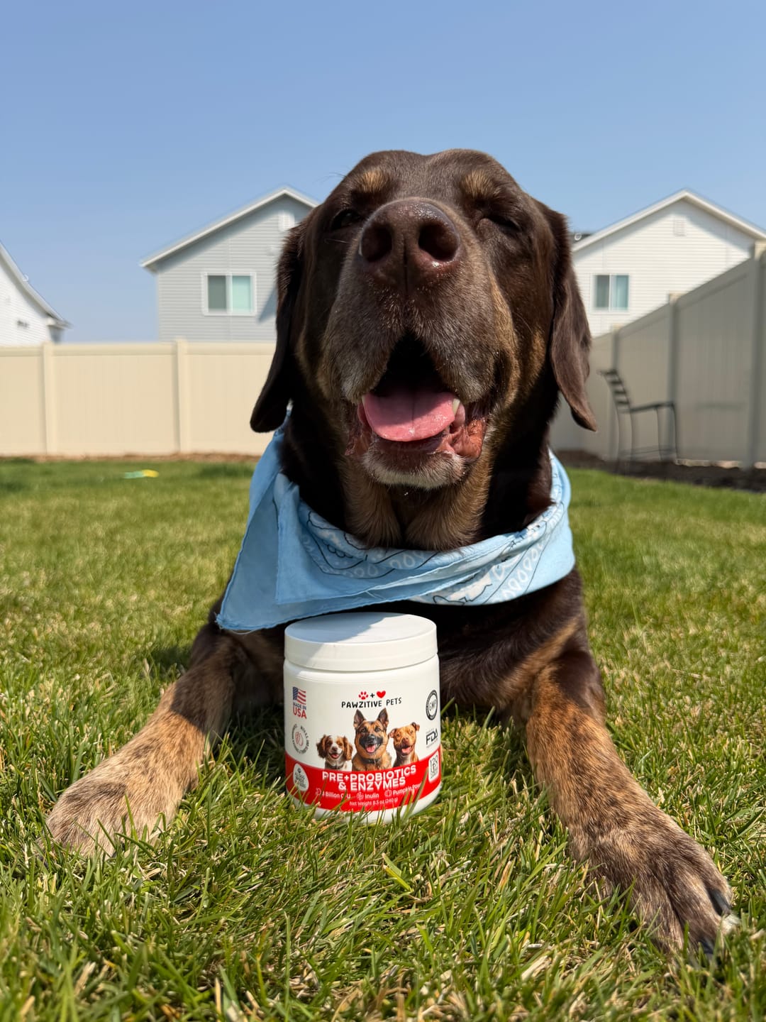 Customer photo review of Pre+Probiotics for Dogs Digestive Health – 120 Soft Chews (Beef Flavor)