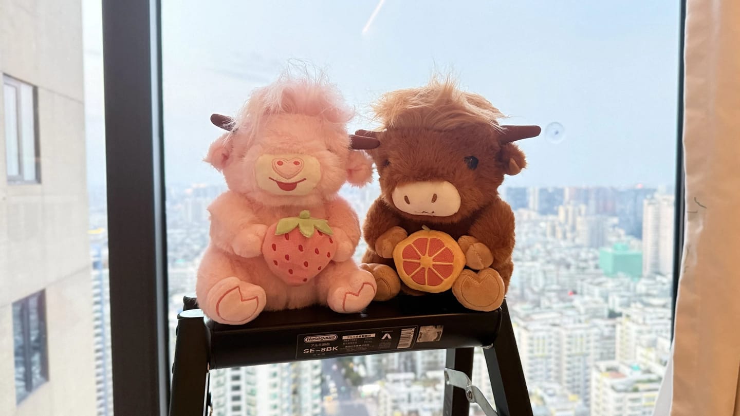 Customer photo review of Highland Cow Plushies