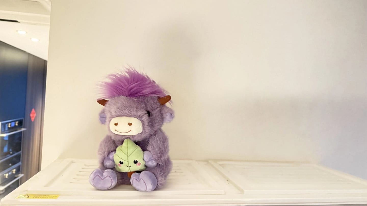 Customer photo review of Highland Cow Plushies