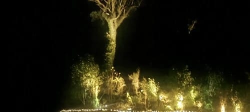 Customer photo review of Solar Garden Spotlights - 4-Pack IP65 Waterproof LED Light