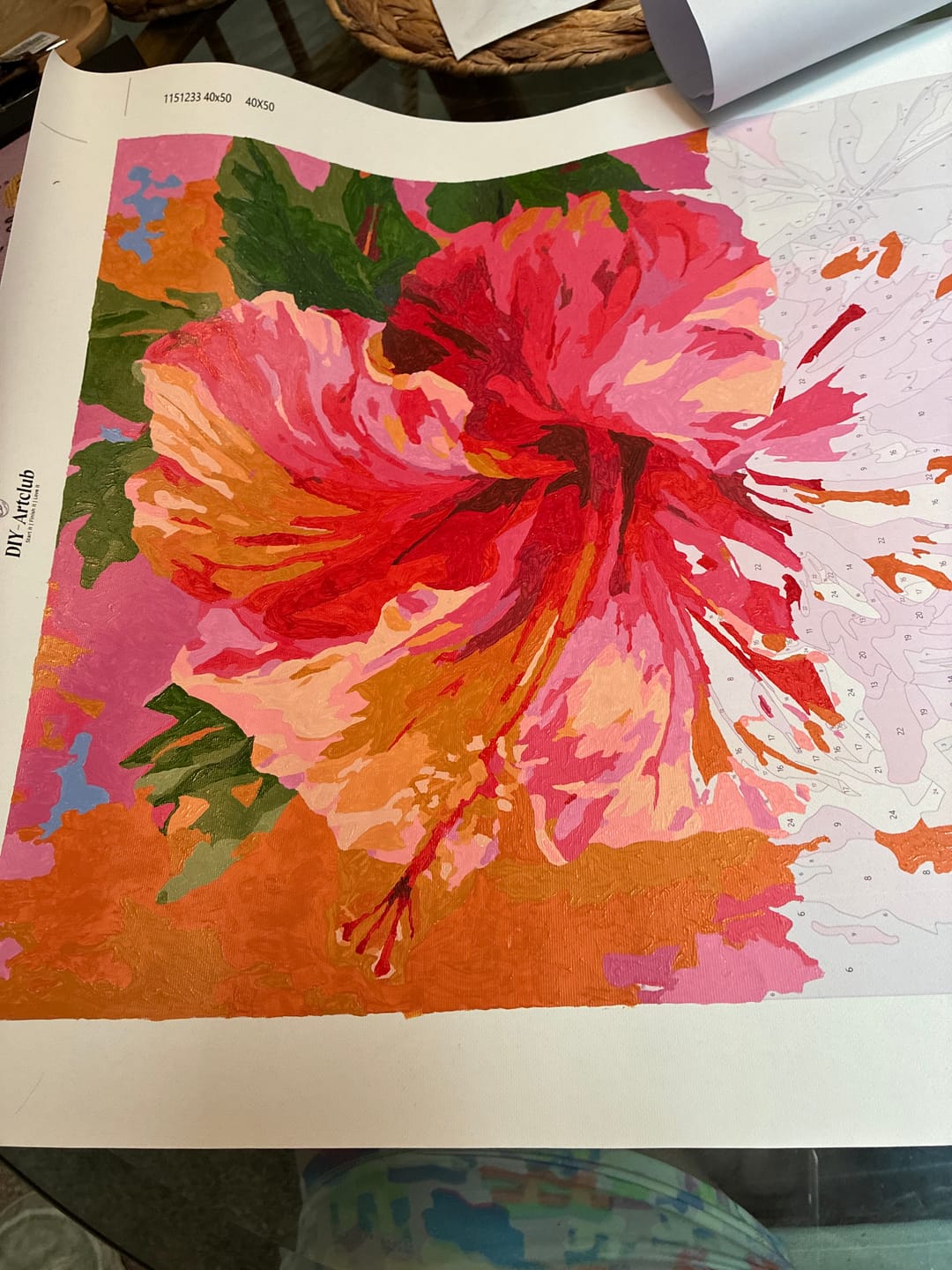 Customer photo review of Colorful Hibiscus | Paint by Number