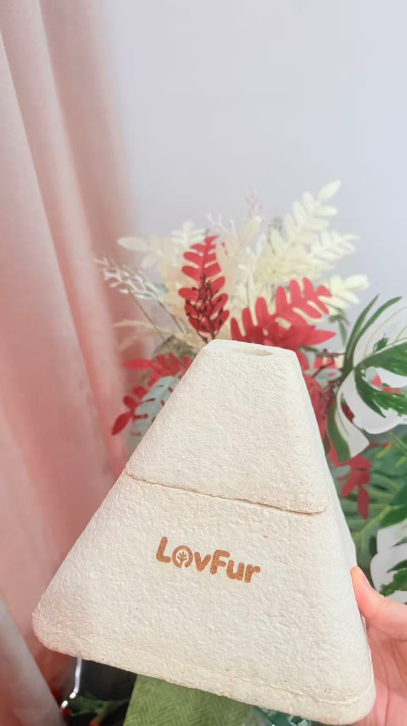 Customer photo review of LovFur™ Eternal Pyramid Mycelium Urn