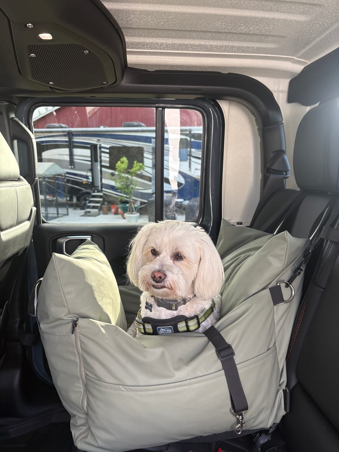 Customer photo review of Dog Dock V2 New & Improved LATCH / ISO FIX