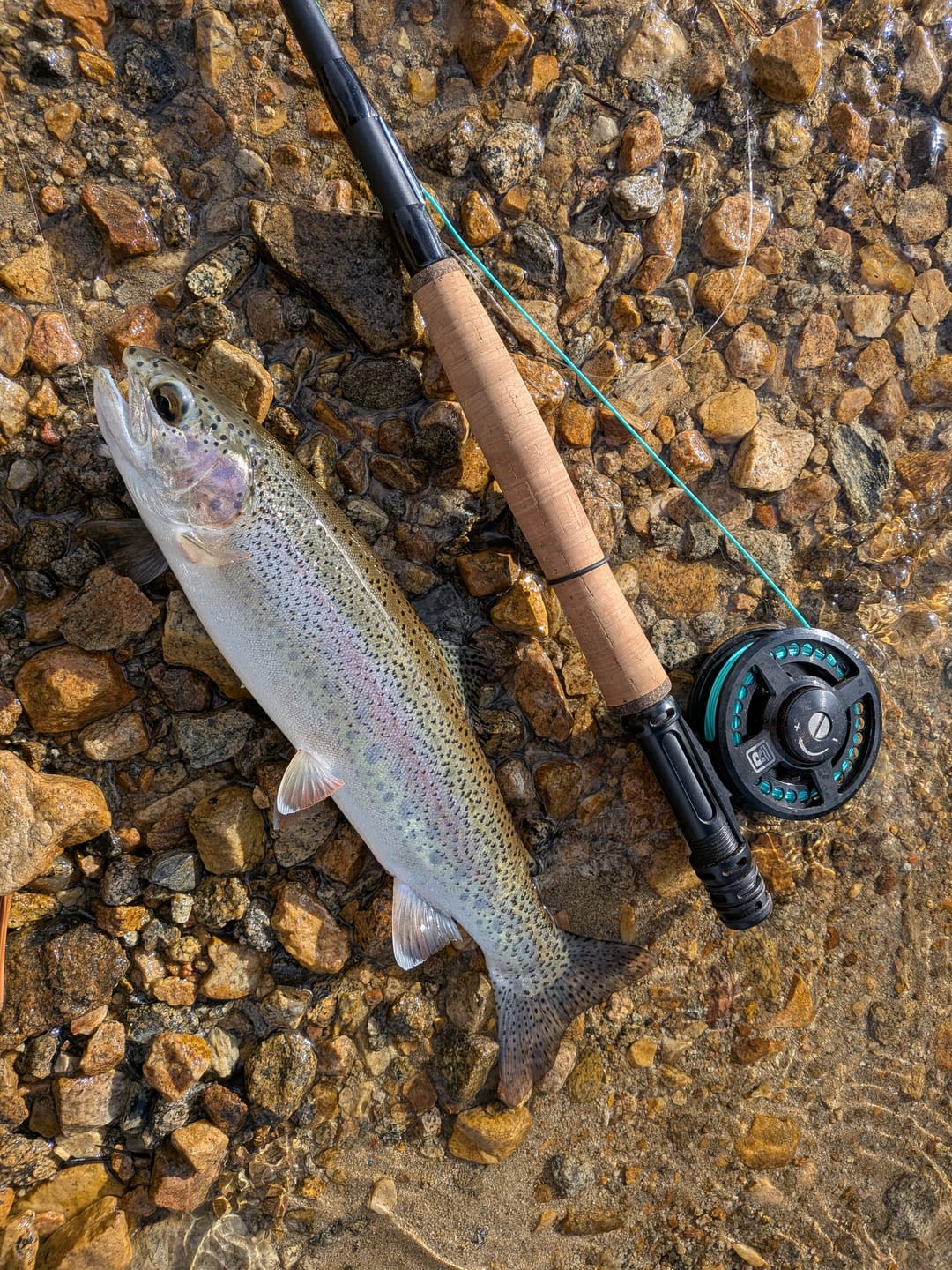 Customer photo review of FIRST CAST Light 4wt / 7ft – Travel Fly Rod