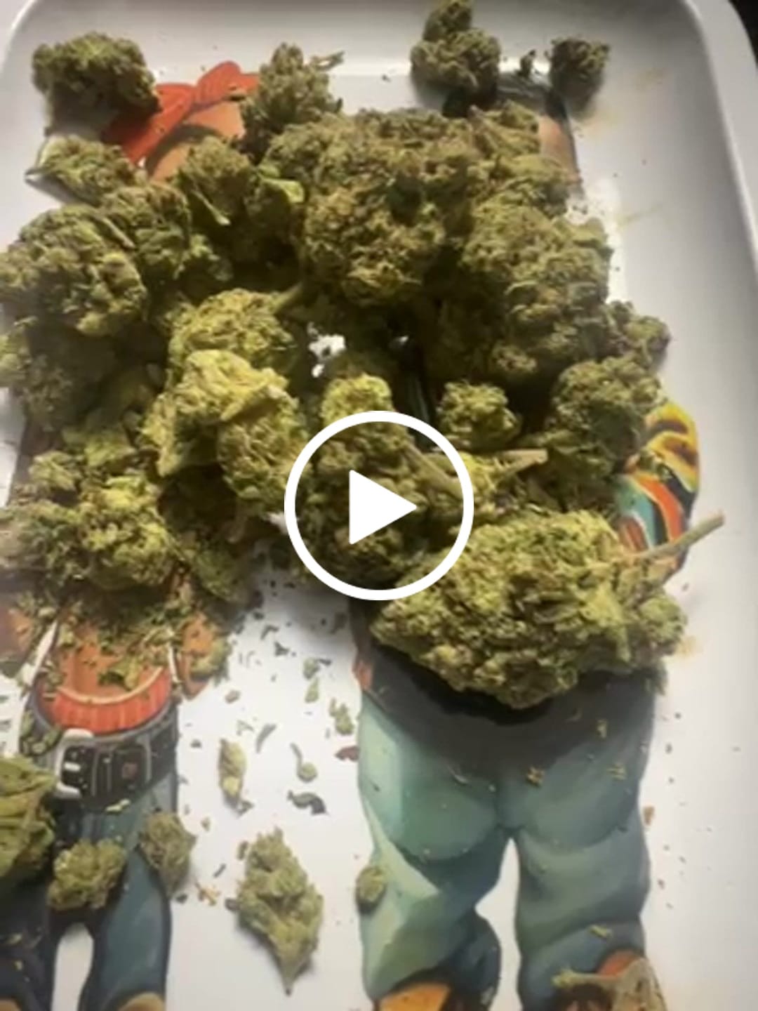 Customer video review of Blue Sharpiez THCA Flower