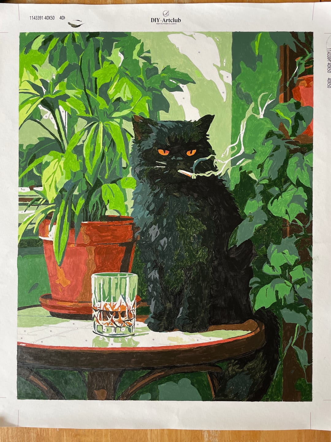 Customer photo review of Grumpy cat | Paint by Number