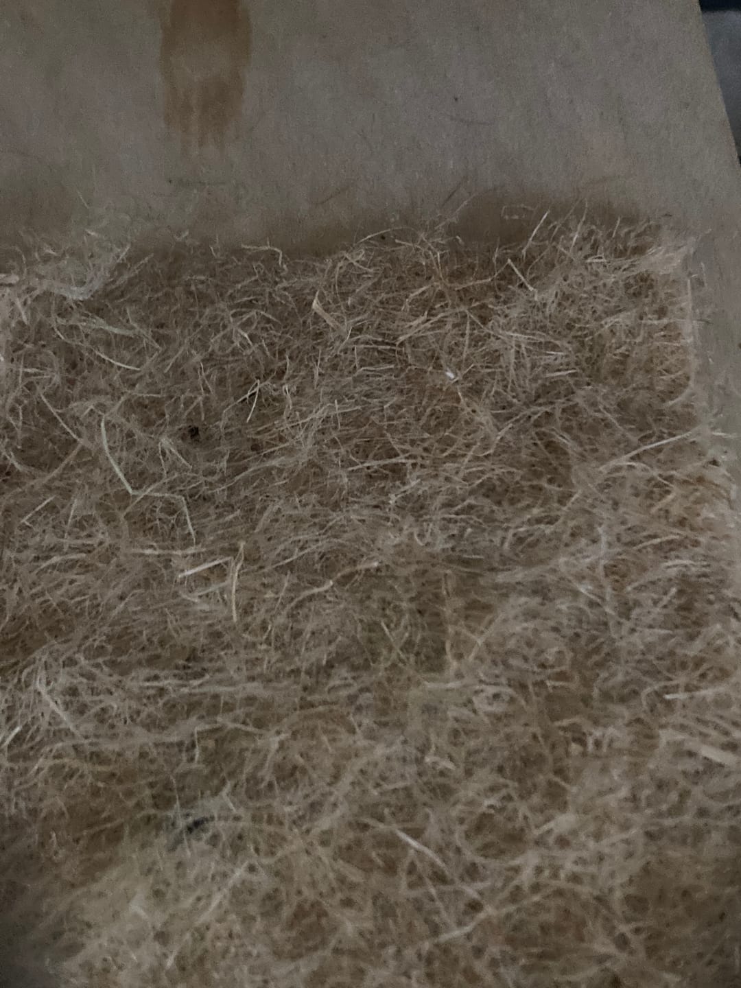Customer photo review of Nagerteppich aus 100% Hanf, 120 x 60cm, 5mm dick