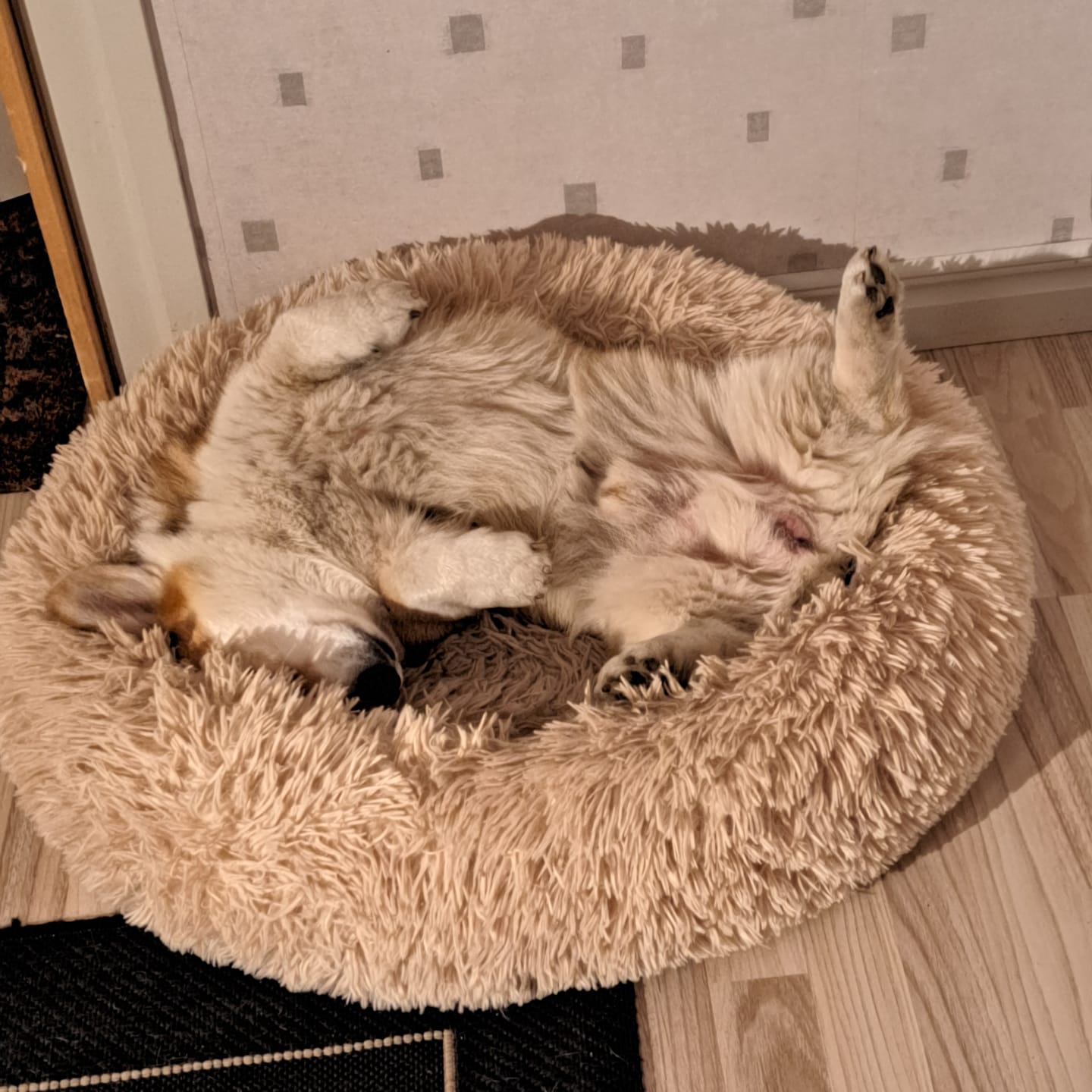 Customer photo review of CalmBed överdrag