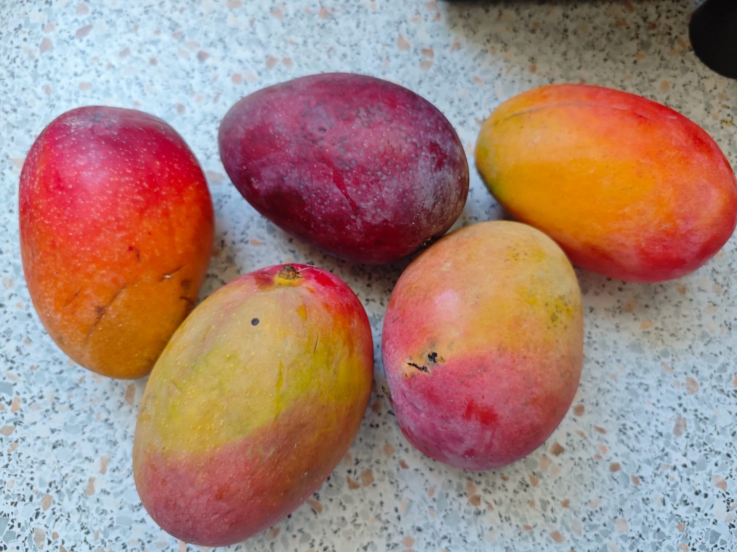 Customer photo review of Mango Sensacion von Julian Sonderaktion