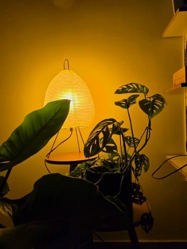 Customer photo review of Japanese Paper Lantern Floor Lamp | Stand Light for Home