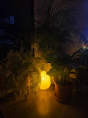Customer photo review of Japanese Paper Lantern Floor Lamp | Stand Light for Home