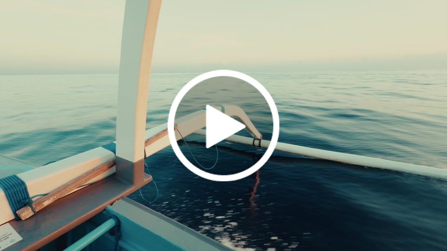 Customer video review of iPhone Apple Log LUTs