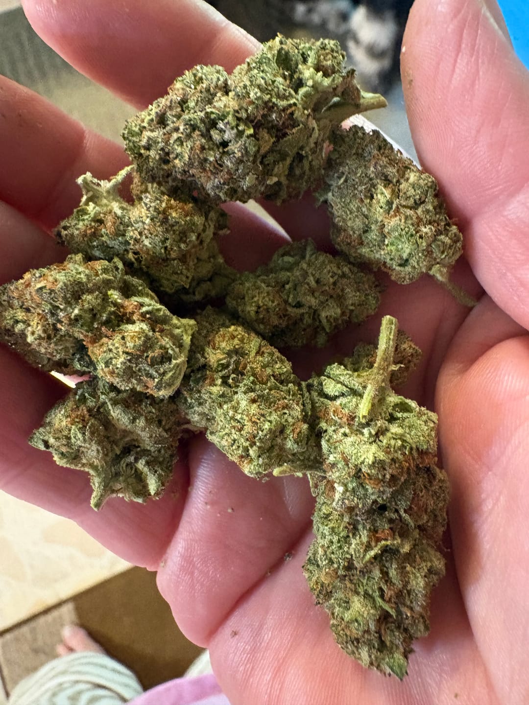 Customer photo review of THCA Queen