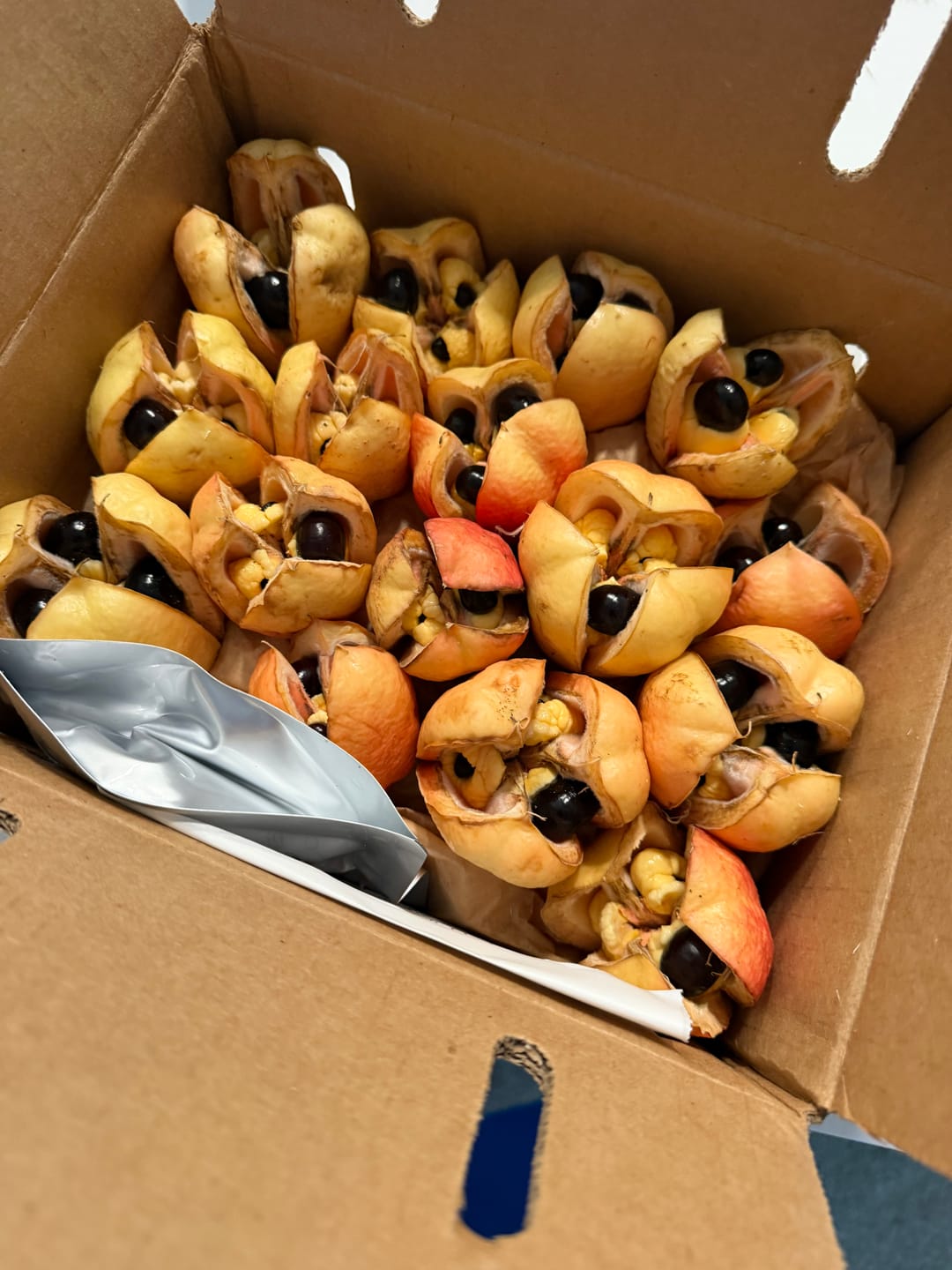 Customer photo review of Ackee