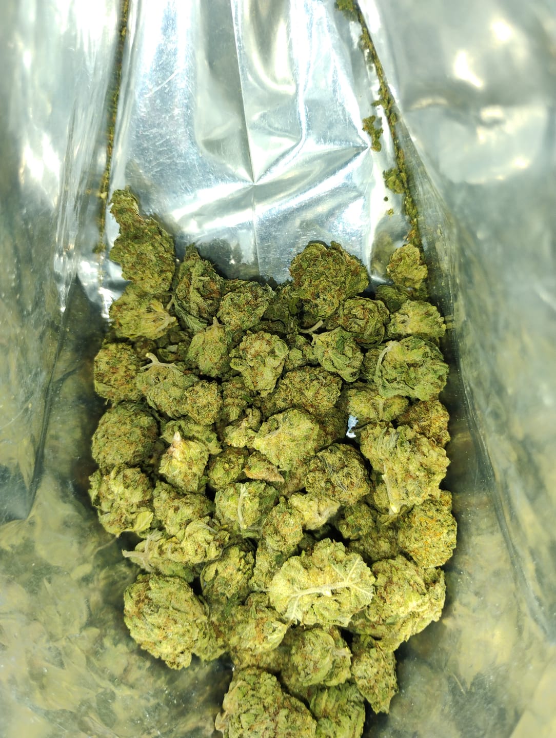 Customer photo review of Candy Gas THCA Flower