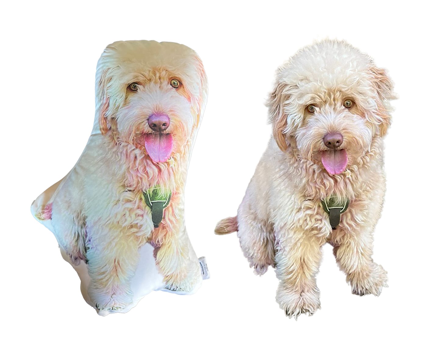 Customer photo review of Personalisiertes Hundekissen