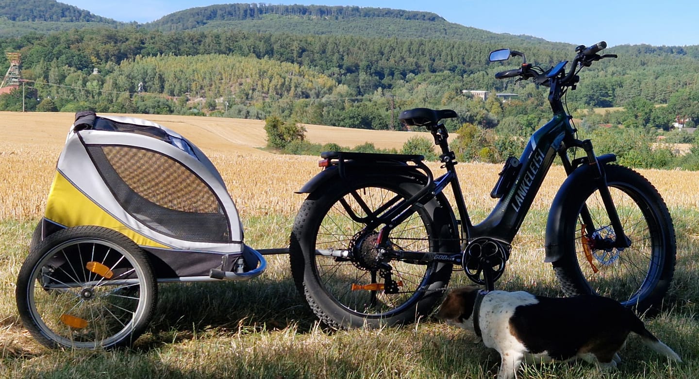 Customer photo review of Lankeleisi MG600 Plus 26" Fat Bike 960Wh All Terrain SUV E-Bike with Switchable Sensor 48V 20Ah Battery