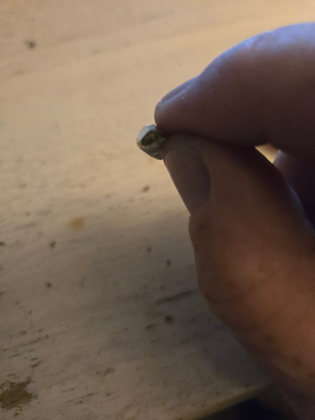 Customer photo review of Cheap THCA Smalls Ounce