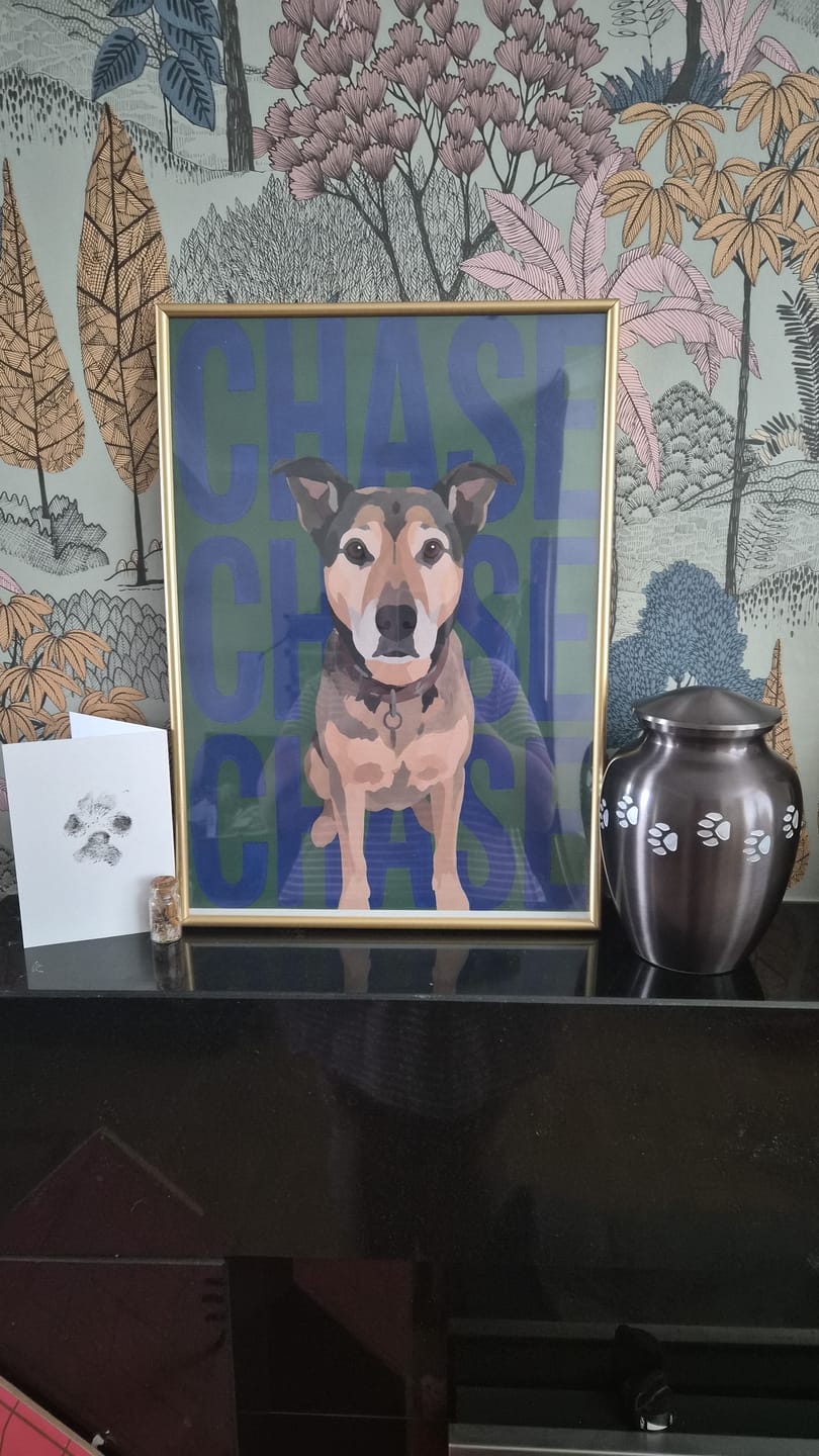 Customer photo review of Big Name - Personalised Poster