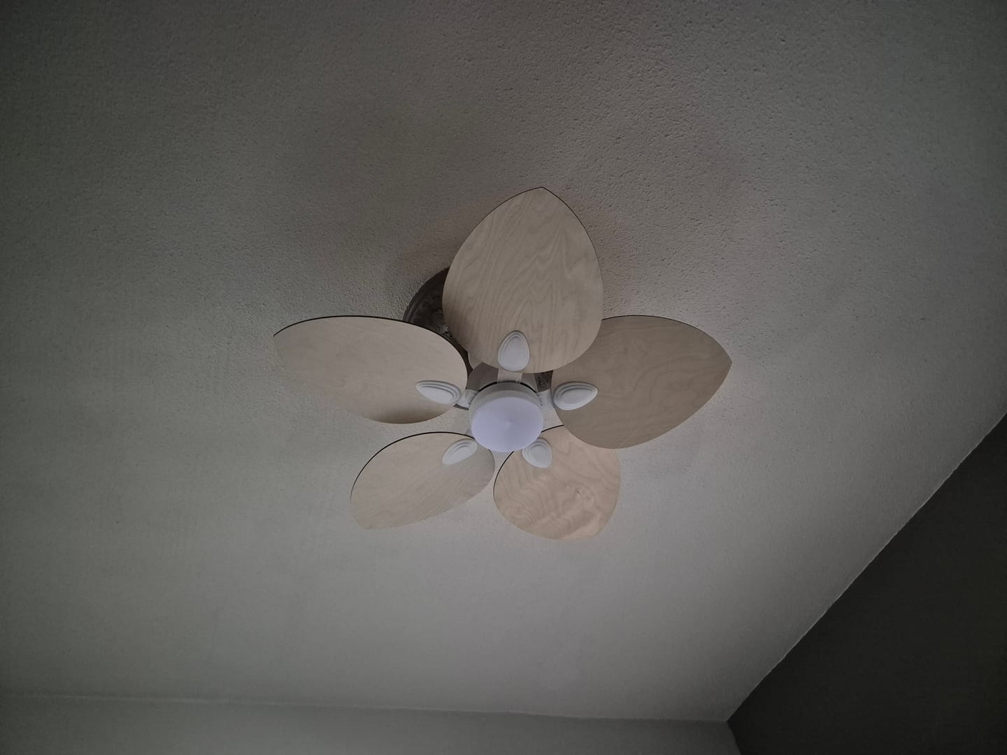 Customer photo review of Dahlia | Ventilateur de plafond