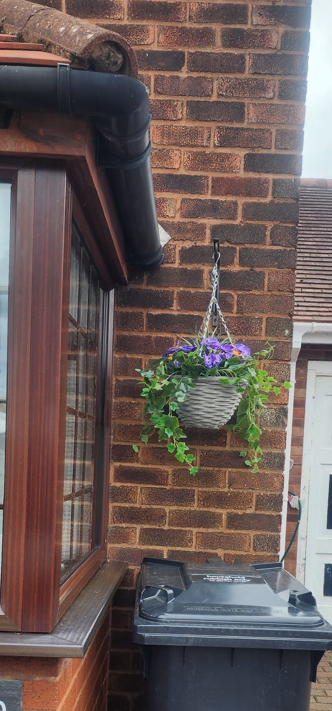 Customer photo review of Purple and Yellow Hanging Basket with Ivy (30cm) - A1453