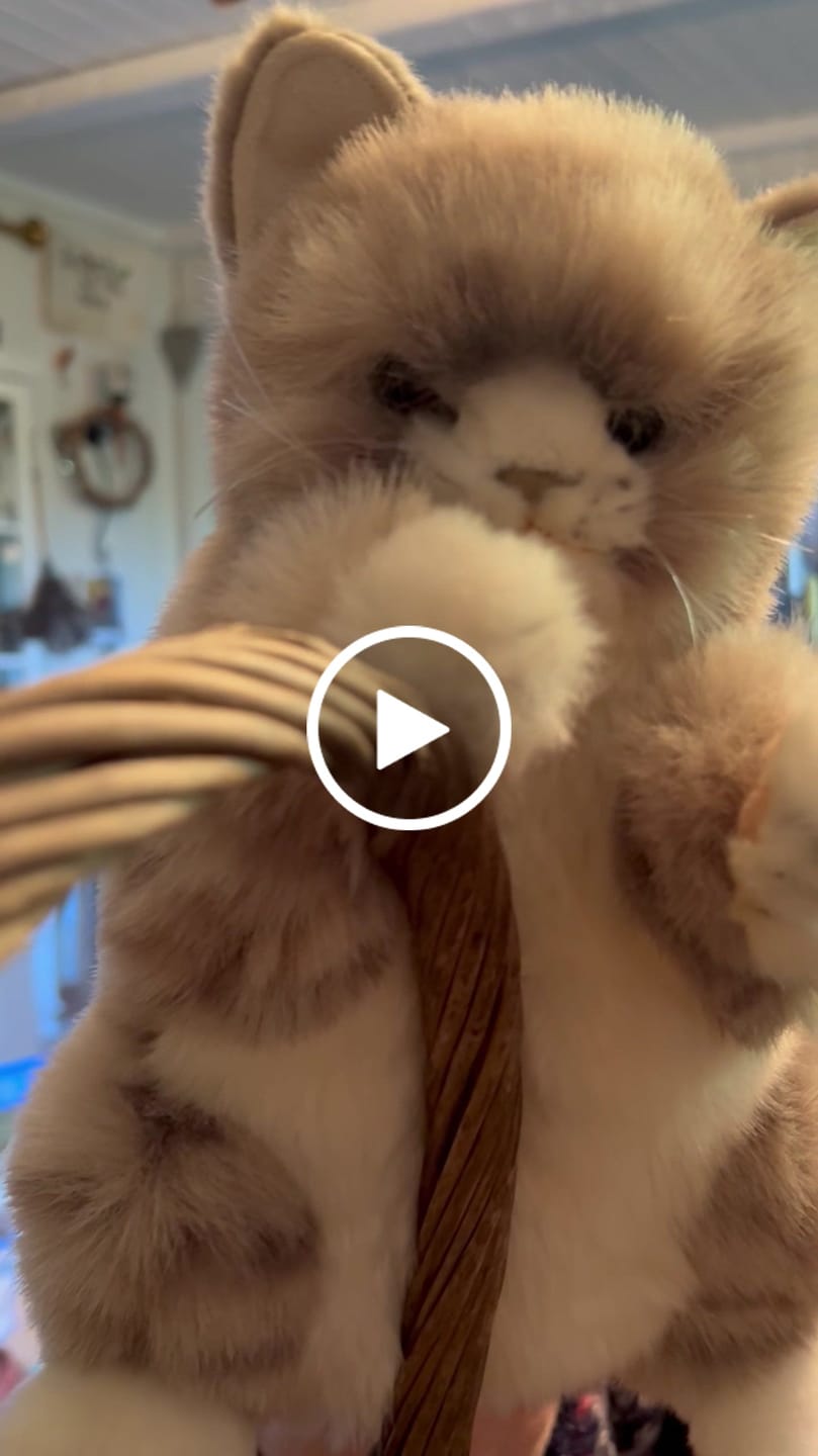 Customer video review of Katt Hånddukke 30cm | Hansa Creation