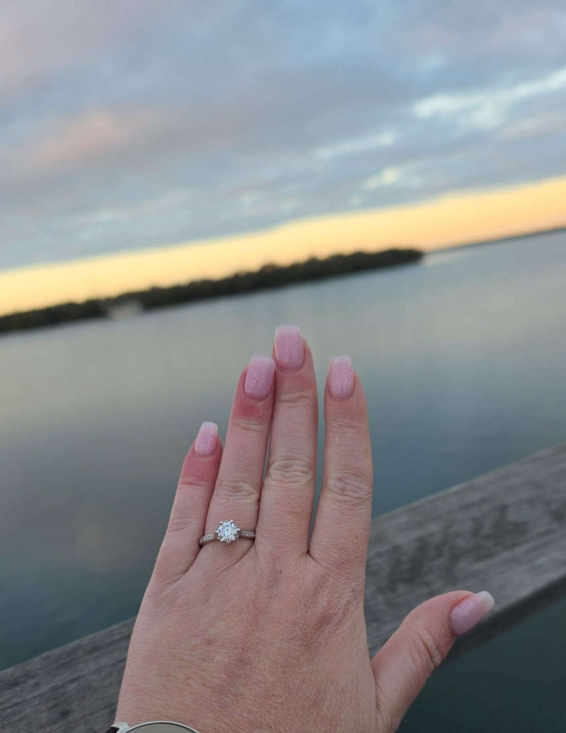 Customer photo review of The Katelyn - Women's 1.0 crt Moissanite Diamond Ring