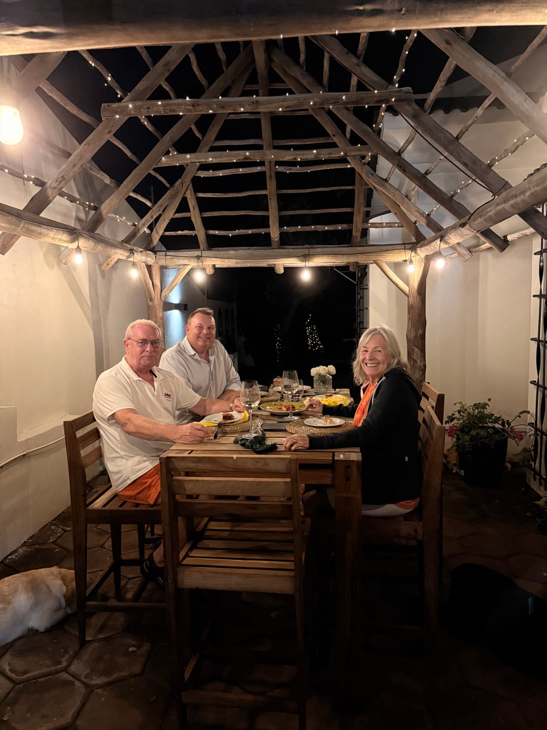 Customer photo review of Solar Festoon Bulb String Lights