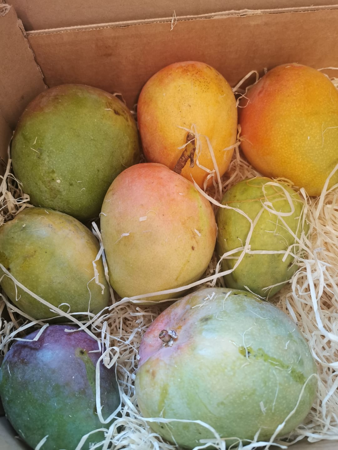 Customer photo review of Mango Mix von Antonio 3kg