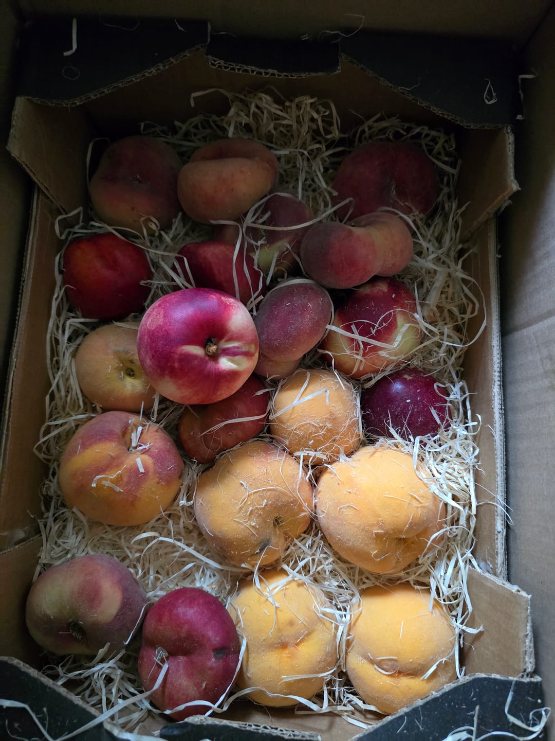 Customer photo review of Pfirsich-Mix Bio von Nicolas 3kg Box