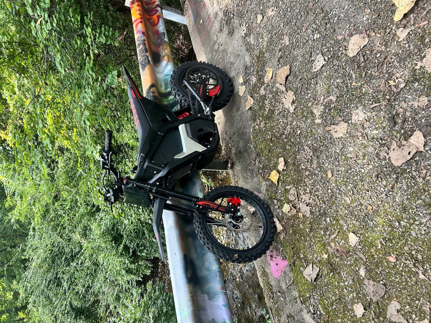 Customer photo review of T500-V58 Electric Dirt Bike