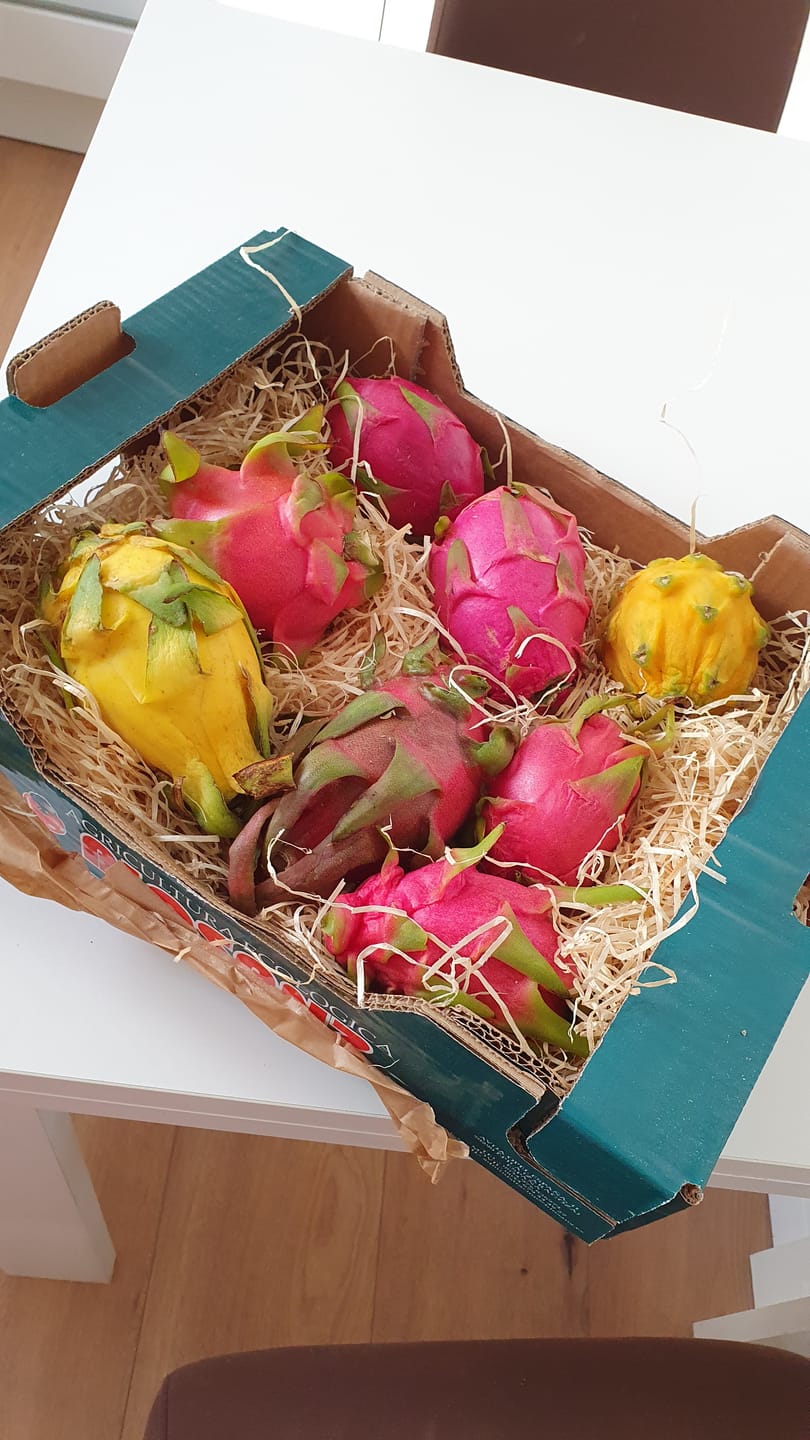 Customer photo review of Drachenwunder Box (5-6 Sorten!) Wochenaktion %