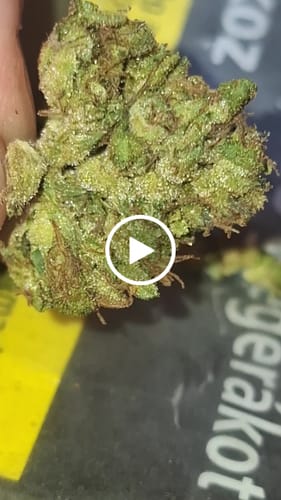 Customer video review of THC-A Flower Cartel Cola