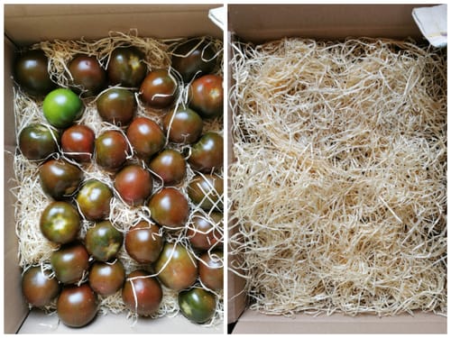 Kundenfoto der Kumato Tomaten in einer Box mit Holzwolle.