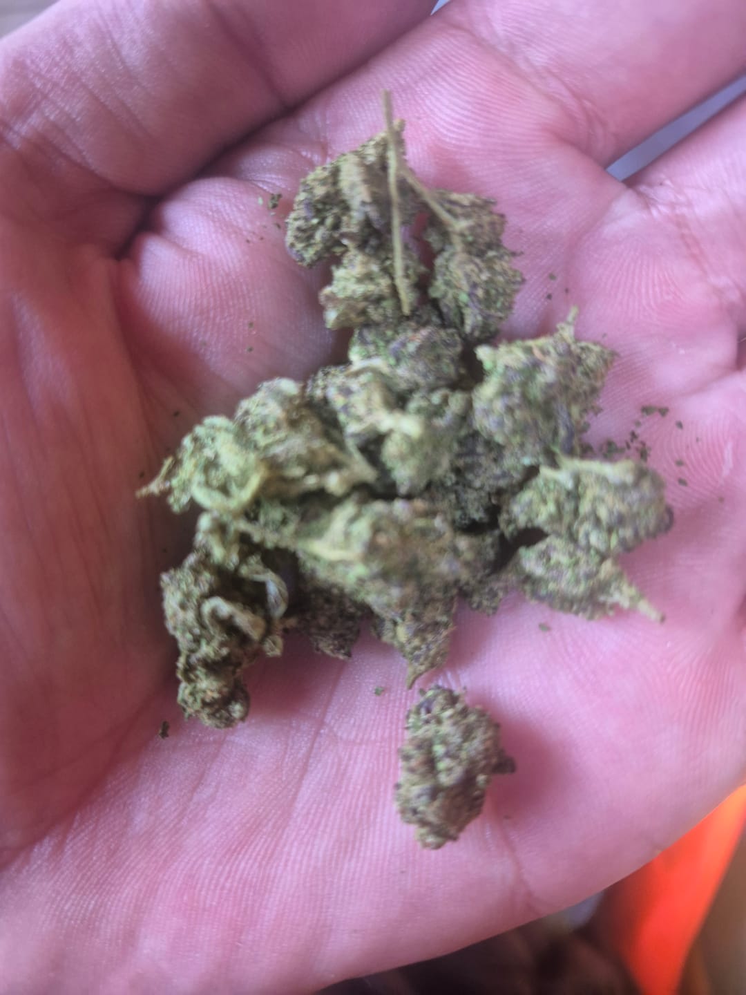 Customer photo review of Boss Crazy - 5OZ Special for $99.99