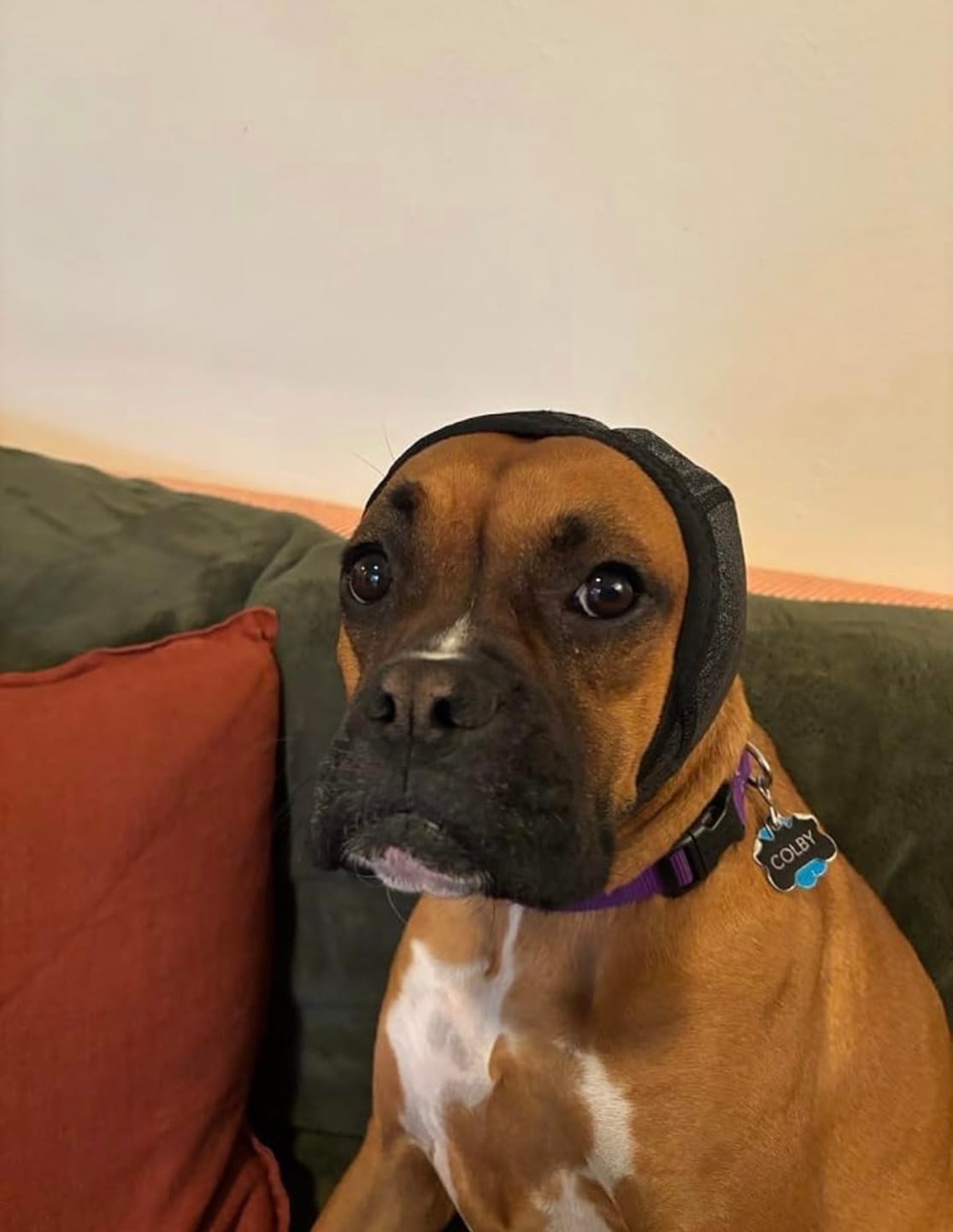 Customer photo review of Noise Protection Ear Muffs