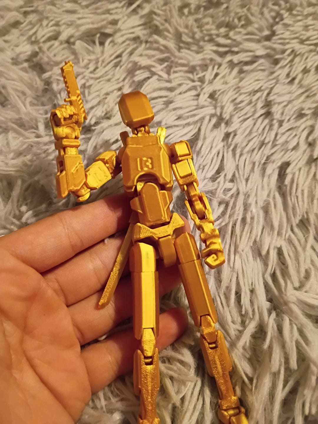 Customer photo review of Dummy 13
