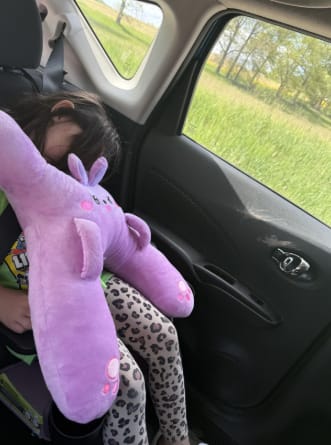 Customer photo review of PetitDodo™ Oreiller de voyage pour enfant