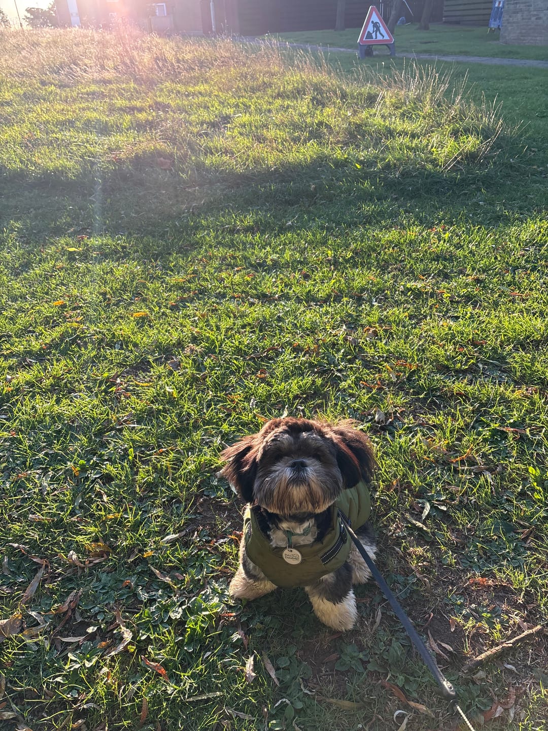 Customer photo review of FurryKing™ 3 in 1 Winter Jacket