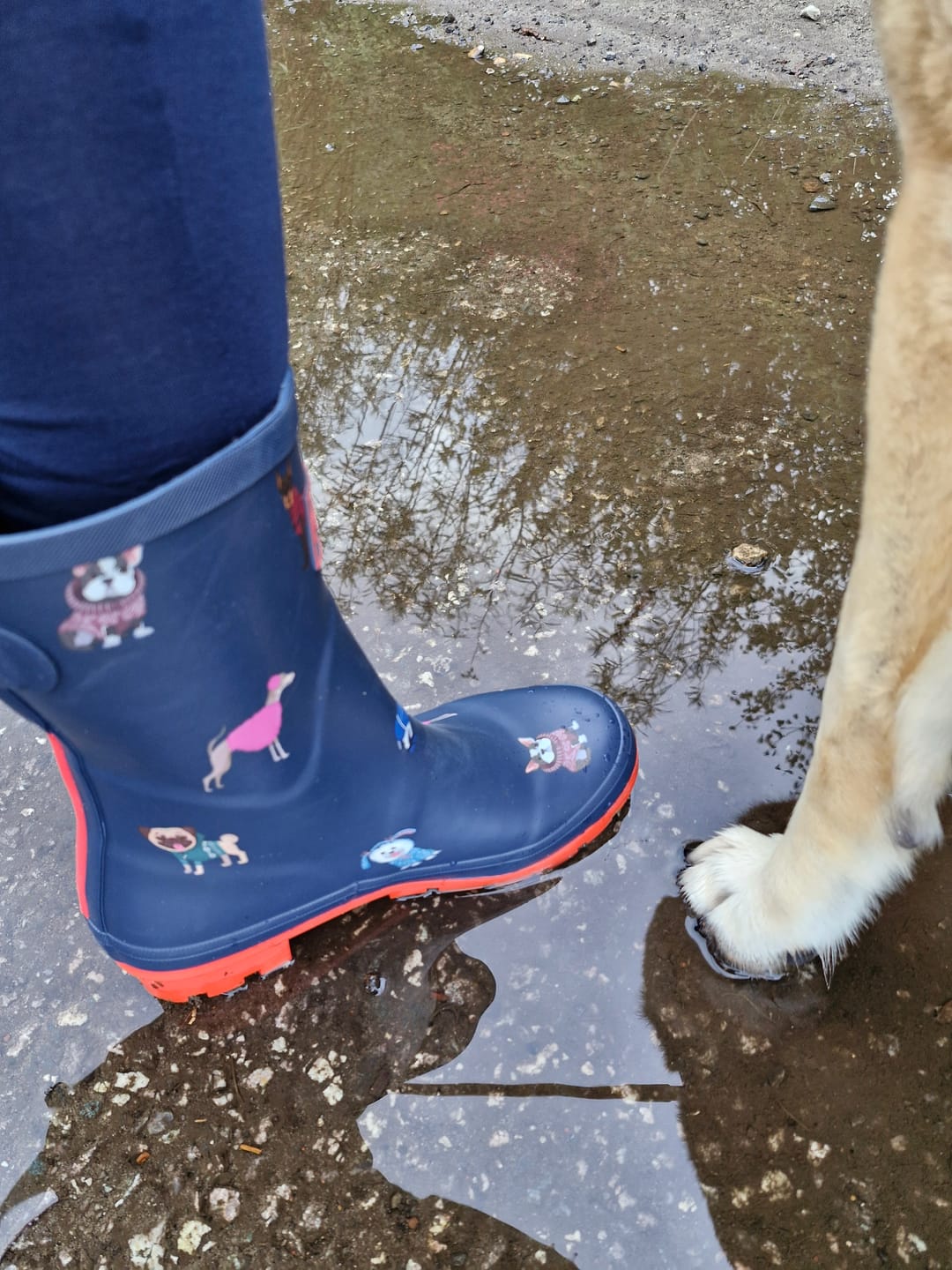 Customer photo review of Gummistiefel – Dogs – Hunde – Dunkelblau-Rot