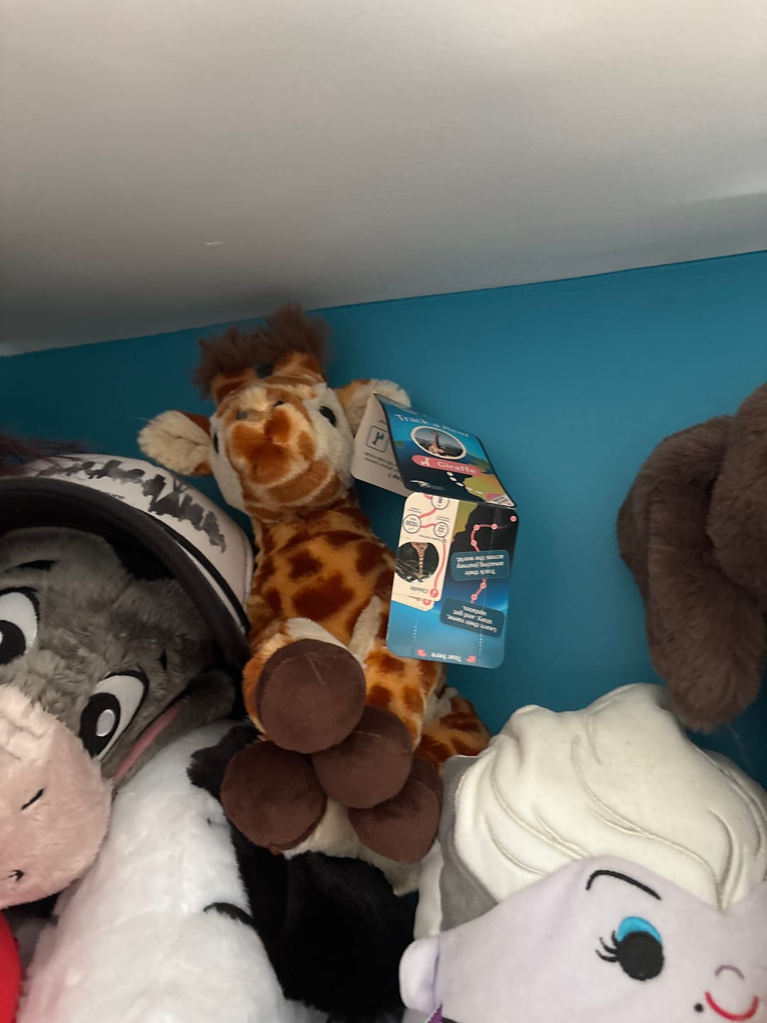 Customer photo review of The Trek Plush